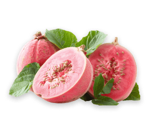 guava guava