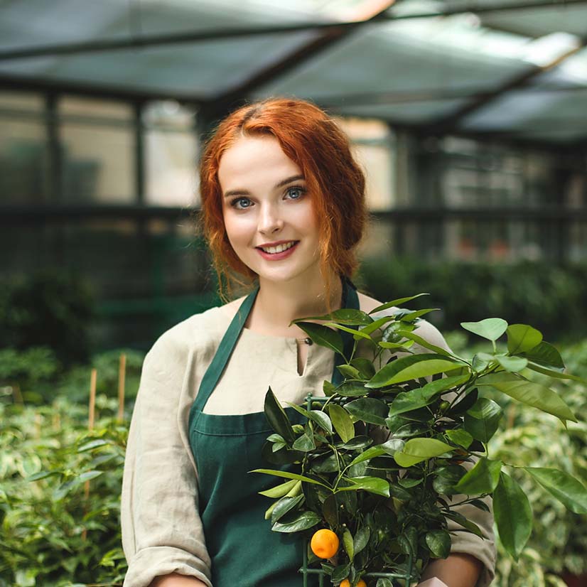 team-crs-3 team-crs-3